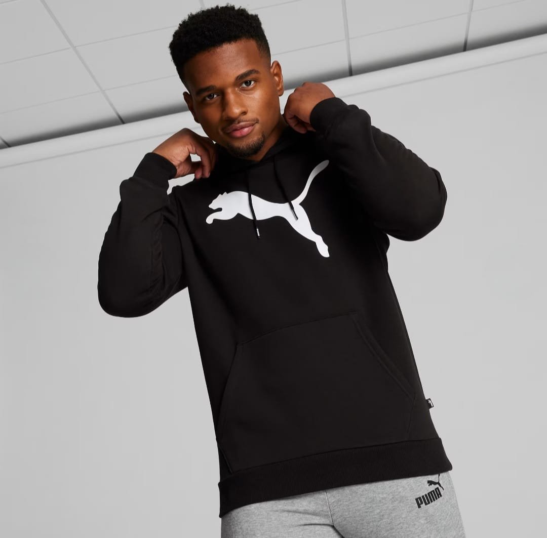 Buzo Puma Essentials Big Cat