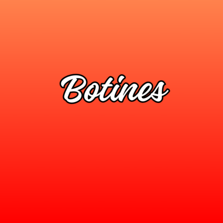 Botines