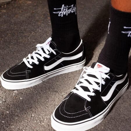 Zapatillas Vans SK8 LOW
